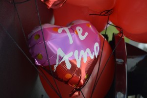Amor Sem Vergonha! 2026 - Foto 8